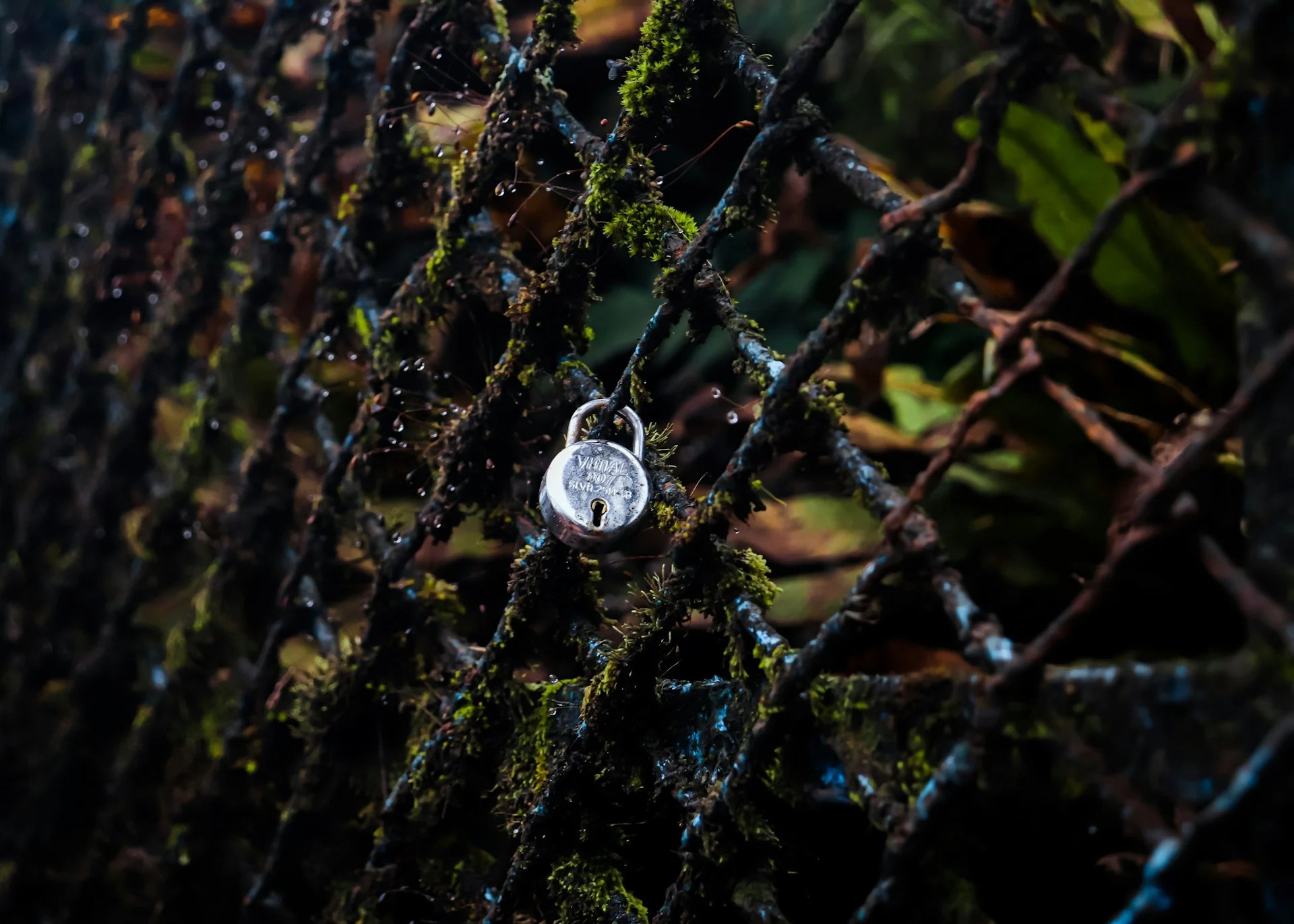 Heavy padlock and chain in dramatic light symbolising AI lock-in