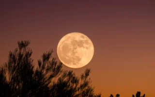 Huge orange full moon against a black sky, answering is it a full moon tonight