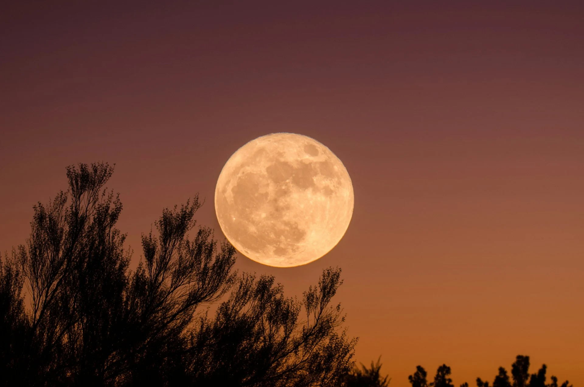 Huge orange full moon against a black sky, answering is it a full moon tonight
