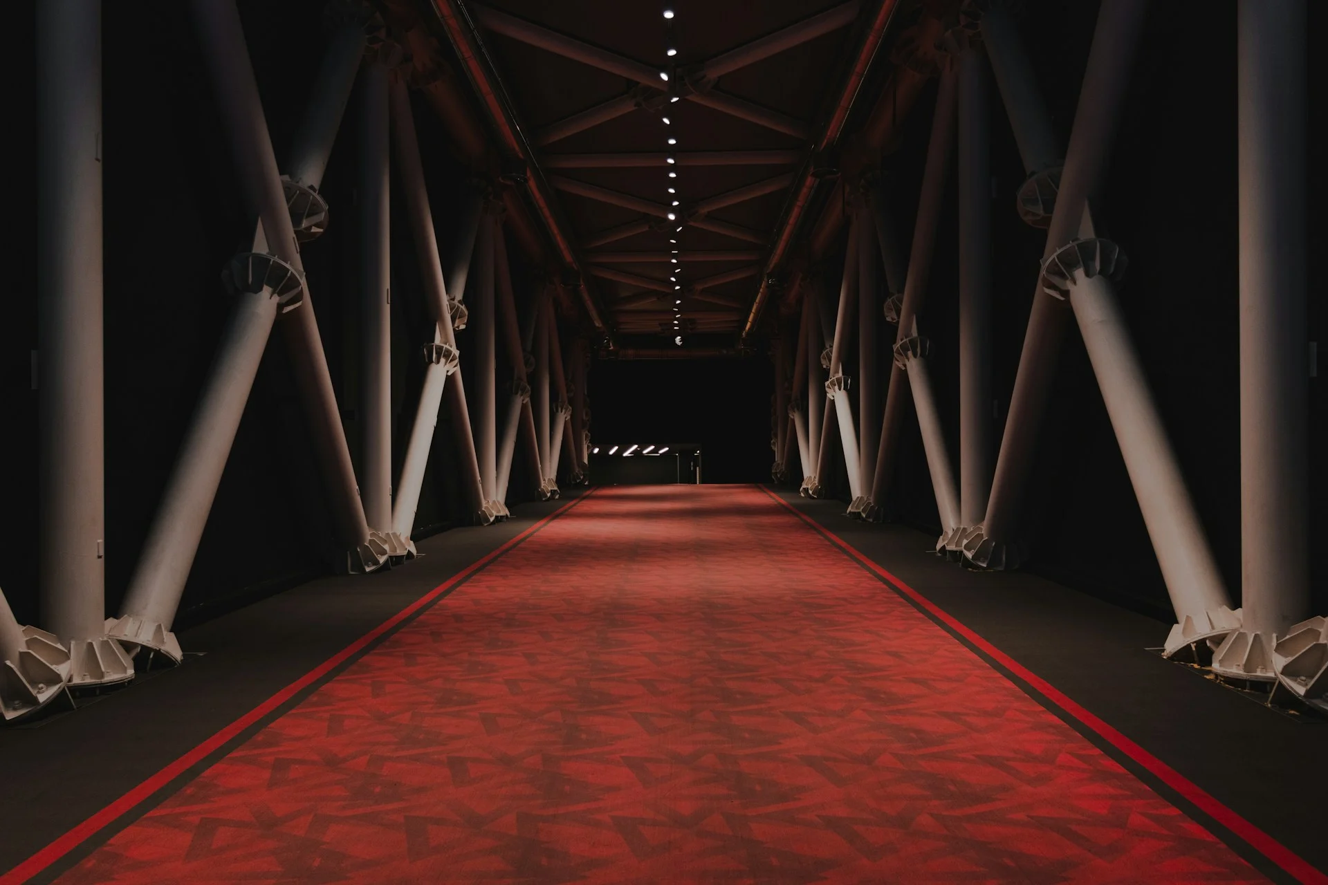 Red carpet under spotlights, as at the festival where Kazunari Ninomiya spoke