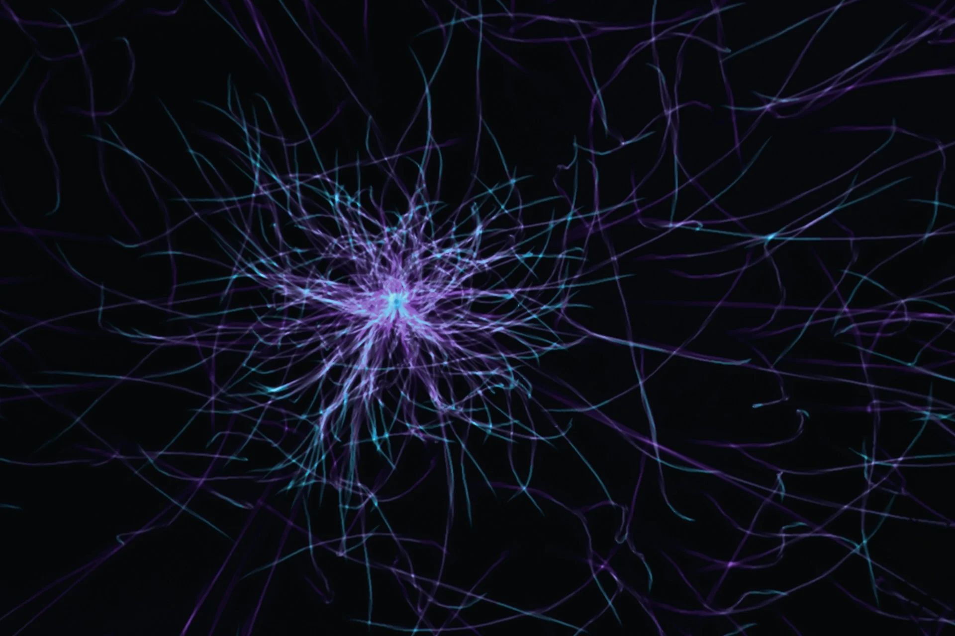 Glowing network of connected nodes representing the NeuronDump LLM graph